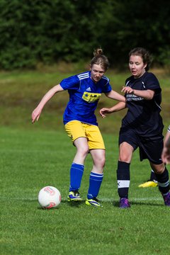 Bild 377 - Frauen TSV Gnutz - SG S�lfeld/Oe/Se/Stu : Ergebnis: 2:3